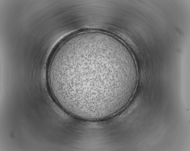X0000113920976200910151436