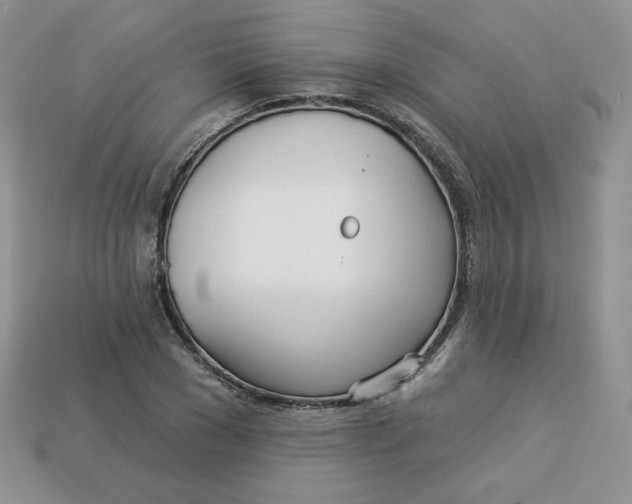 X0000113920977200910151436