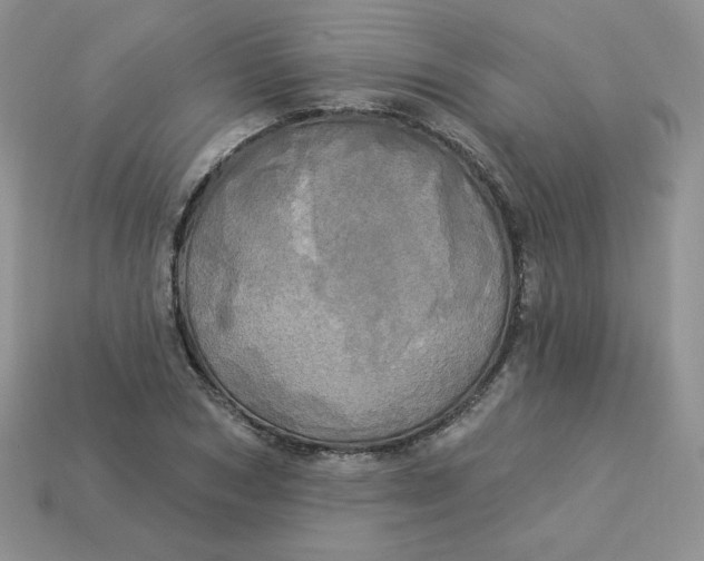 X0000113920978200910151436