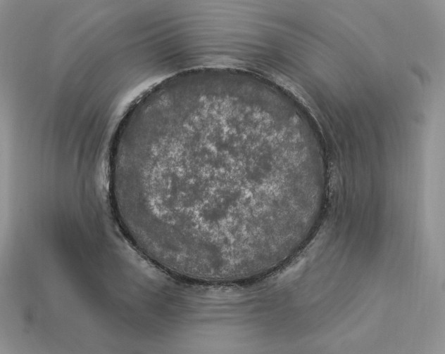 X0000113920979200910151436