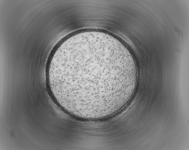 X0000113920980200910151436