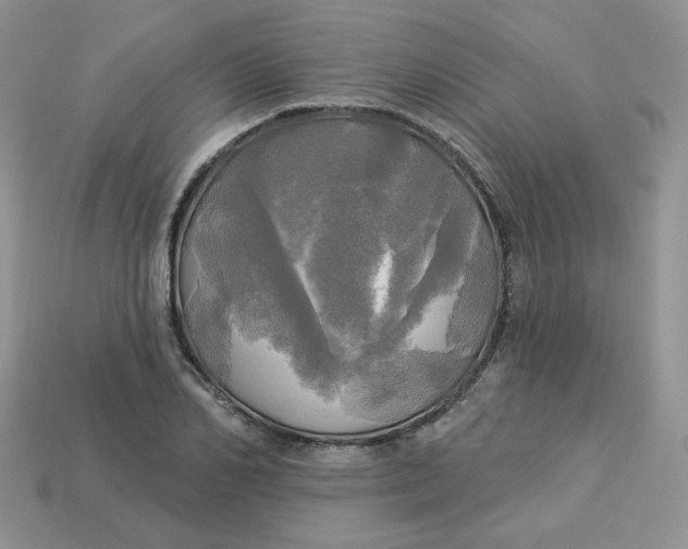 X0000113920982200910151436