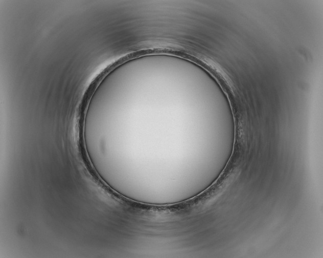 X0000113920983200910151436