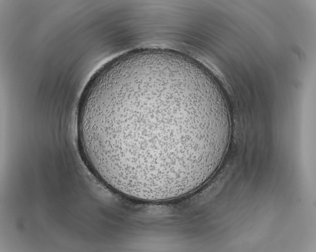 X0000113920984200910151436