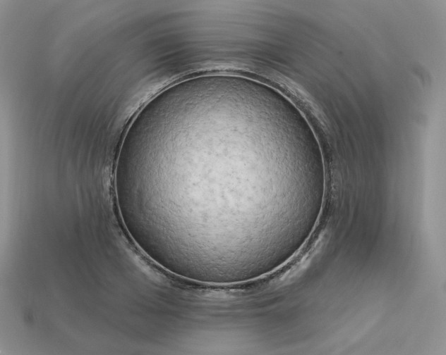 X0000113920985200910151436