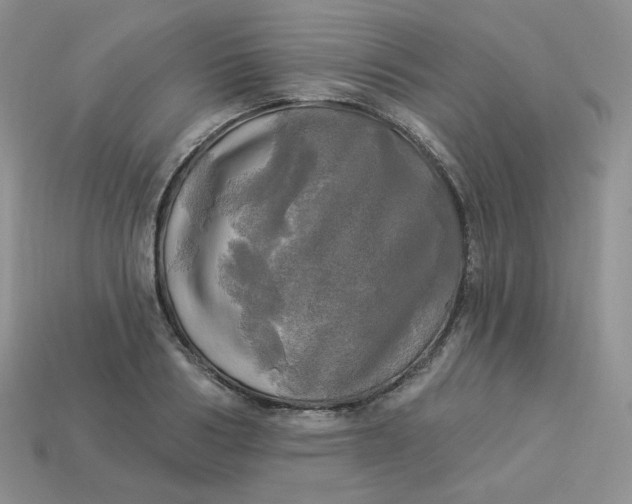 X0000113920986200910151436