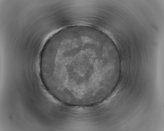 X0000113920987200910151436