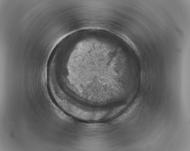 X0000113920988200910151436