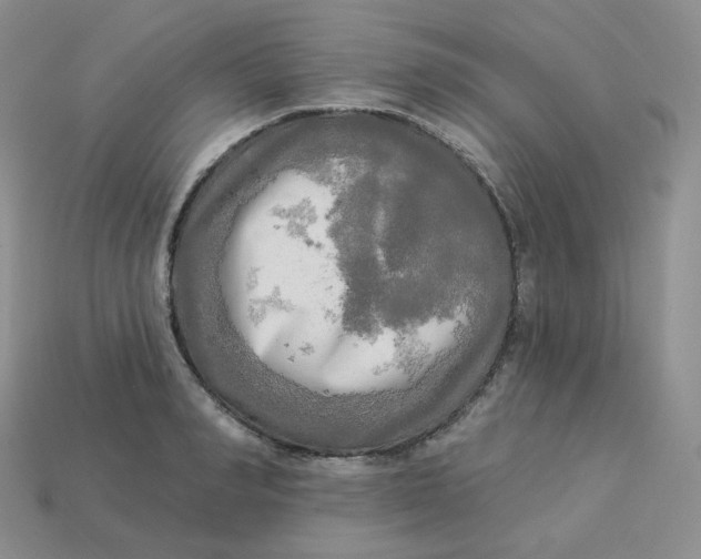 X0000113920990200910151435
