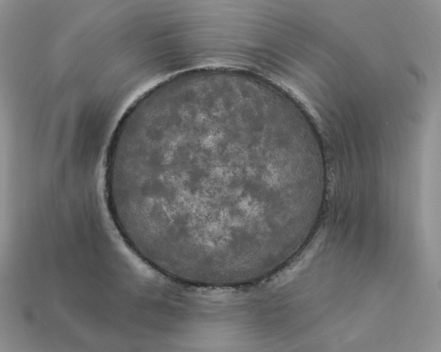 X0000113920991200910151435