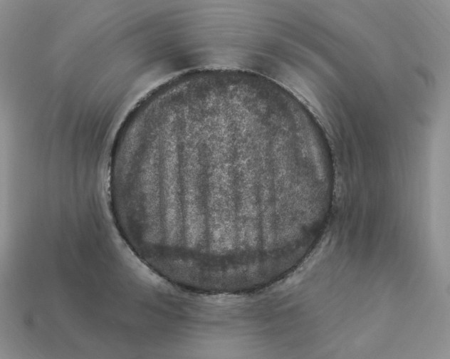 X0000113920992200910151435