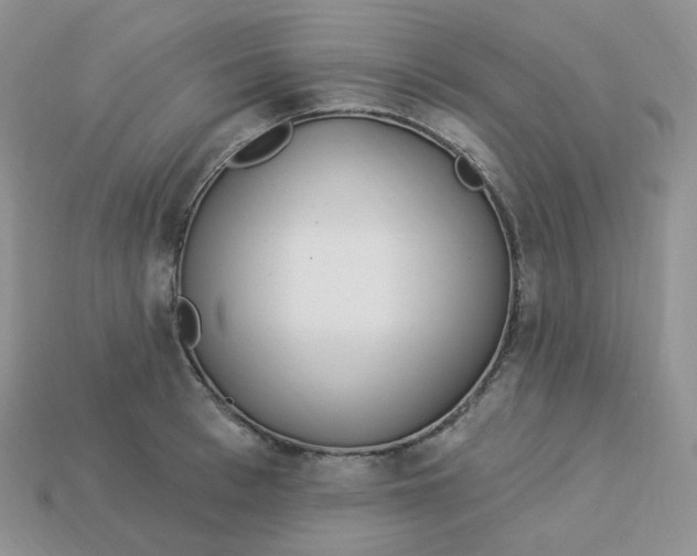 X0000113920993200910151435