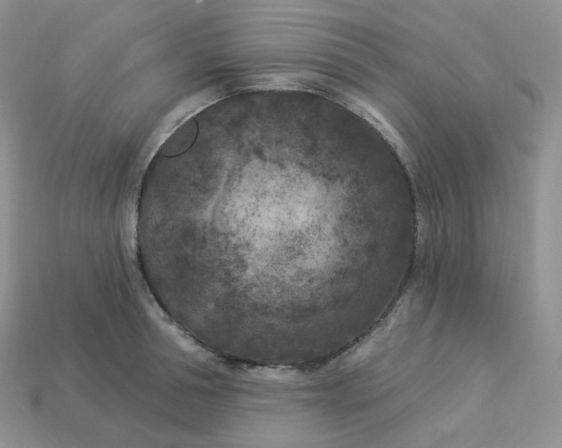 X0000113920994200910151435