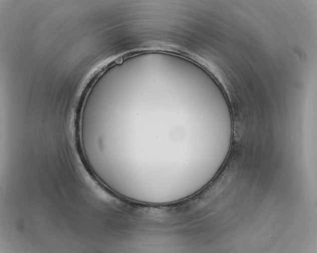 X0000113920995200910151435