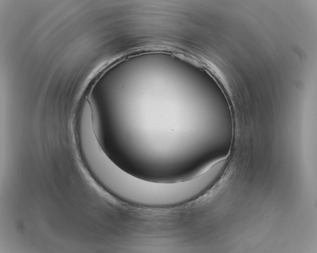 X0000113920997200910151435
