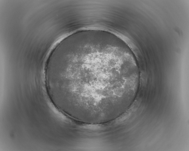 X0000113920998200910151435