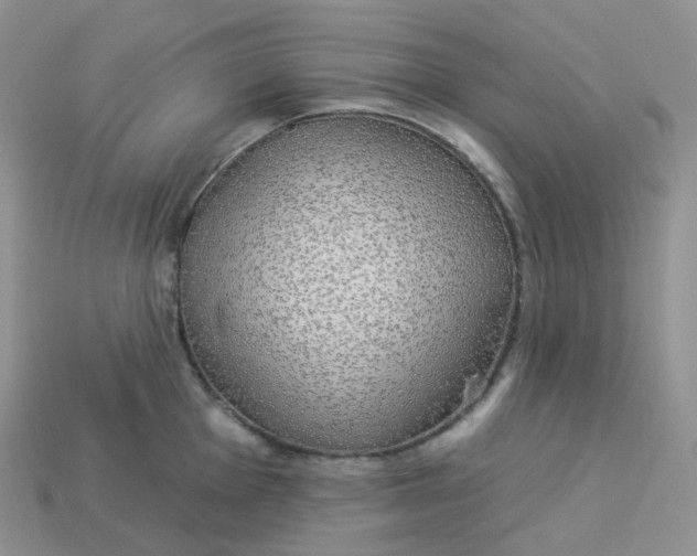 X0000113921001200910151435