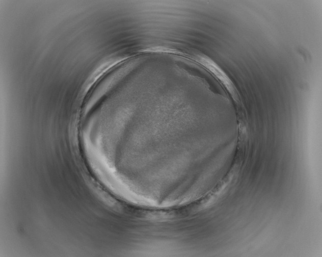 X0000113921002200910151435