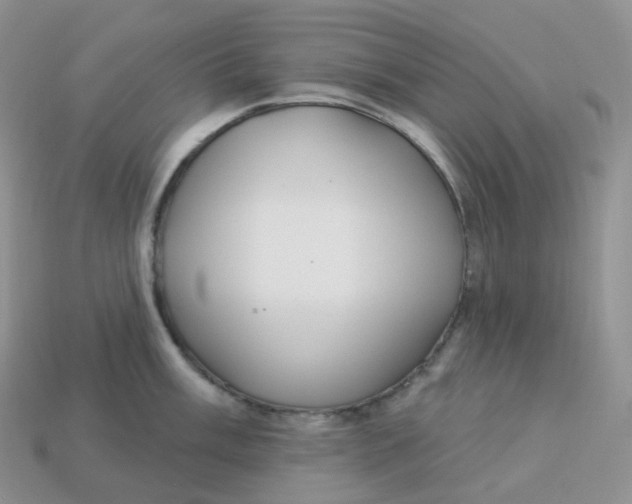 X0000113921003200910151435