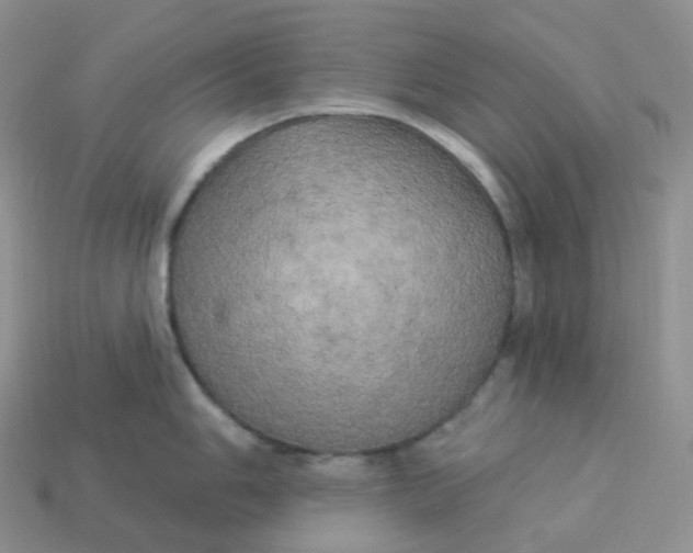X0000113921006200910151435