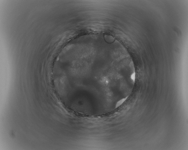 X0000113921009200910151434