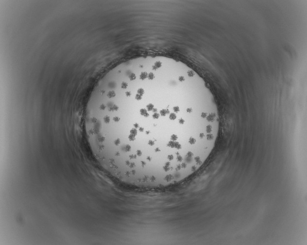 X0000113921010200910151434