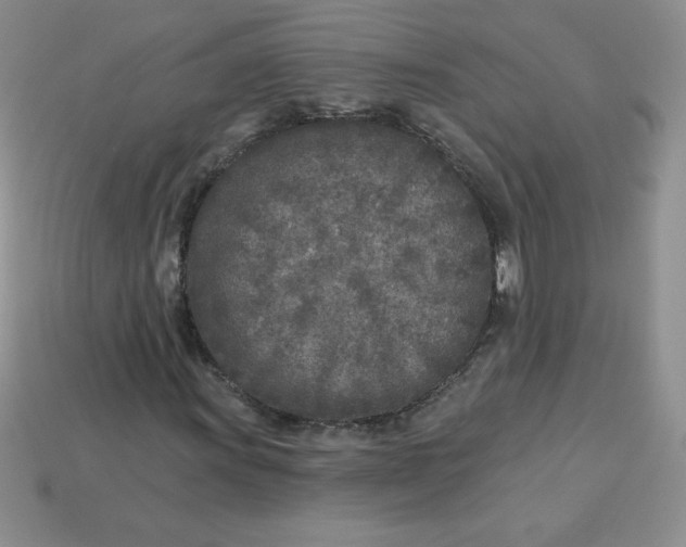 X0000113921011200910151434