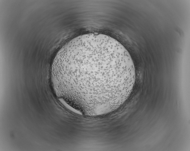 X0000113921012200910151434