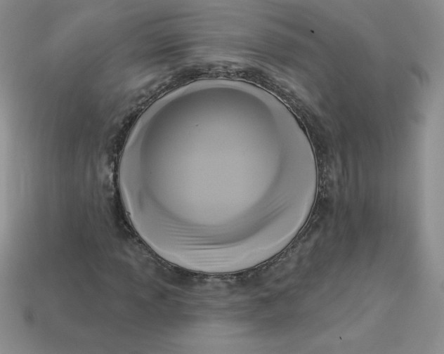 X0000113921013200910151434