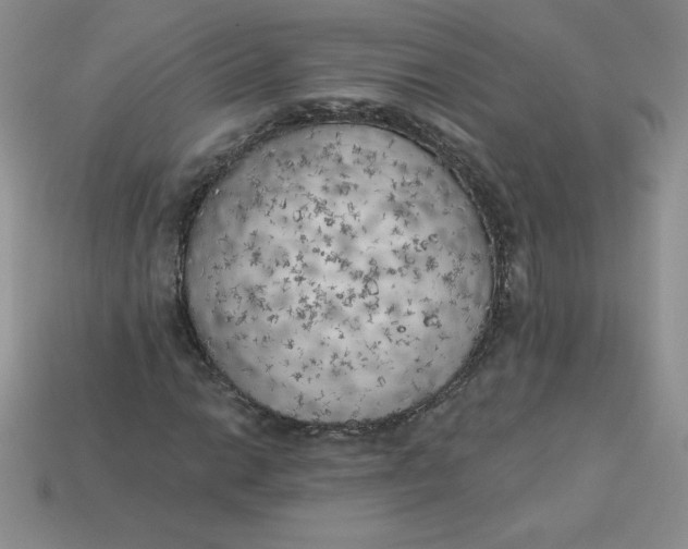X0000113921014200910151435