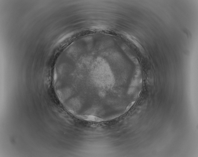 X0000113921015200910151435