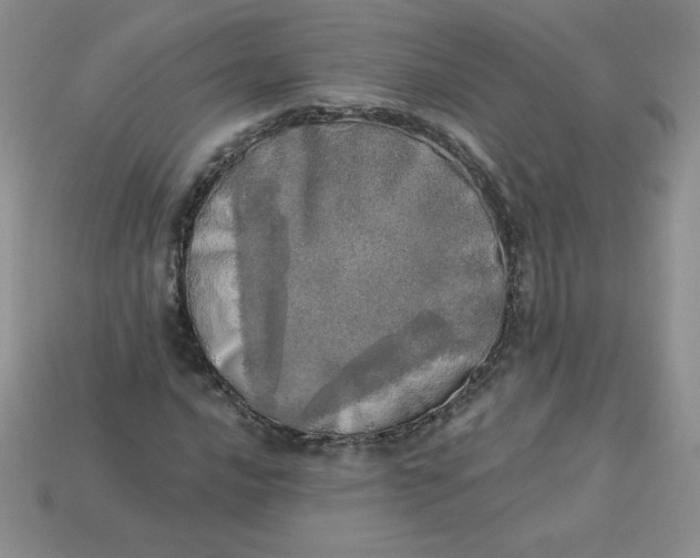 X0000113921016200910151435