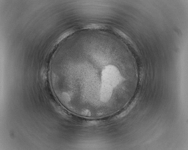 X0000113921017200910151435