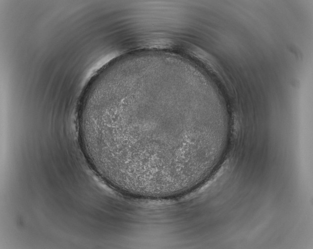 X0000113921018200910151435