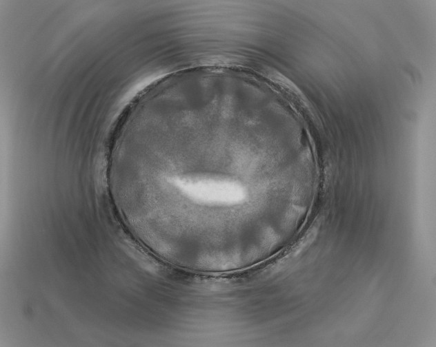 X0000113921019200910151435