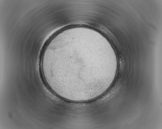 X0000113921020200910151435