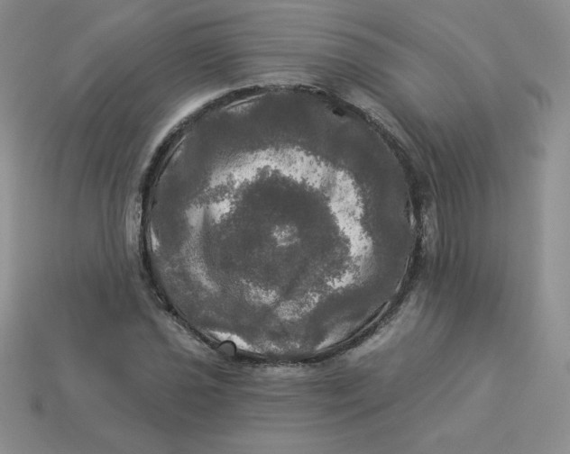X0000113921021200910151435
