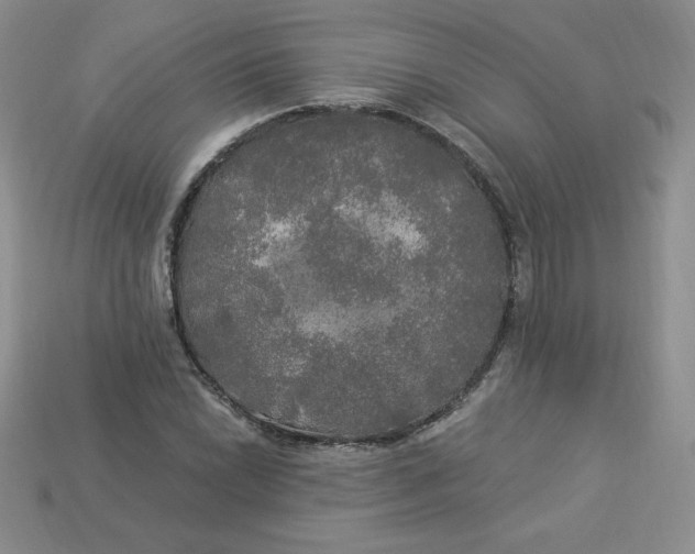 X0000113921022200910151435