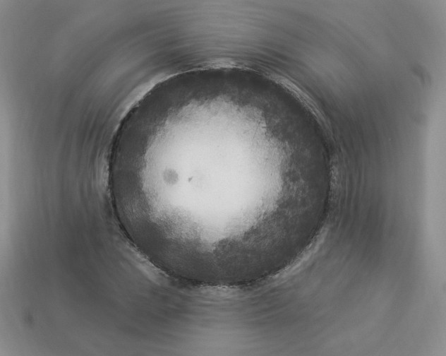 X0000113921023200910151435
