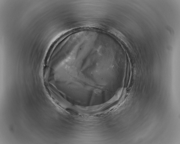 X0000113921024200910151435