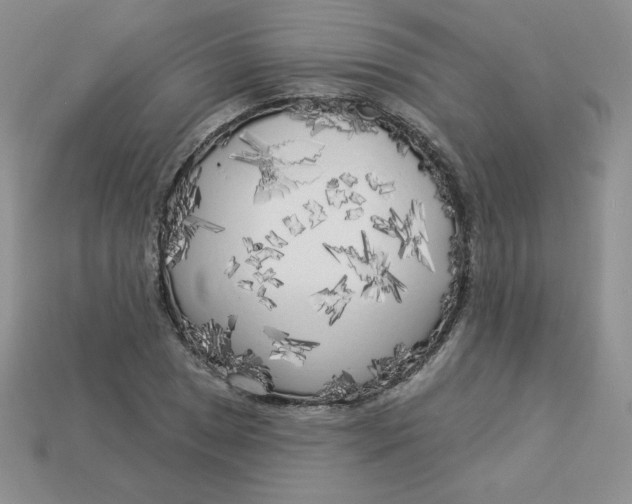 X0000113921025200910151435