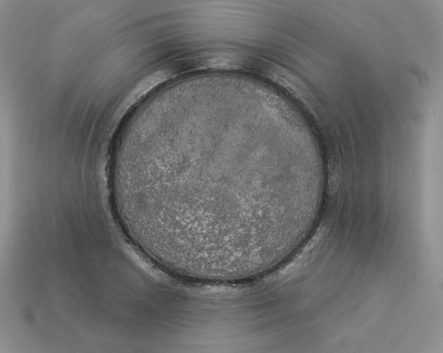 X0000113921026200910151435