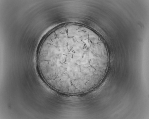 X0000113921028200910151435