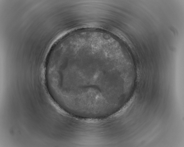 X0000113921029200910151435