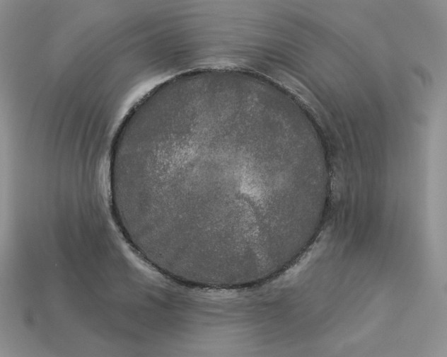 X0000113921030200910151435