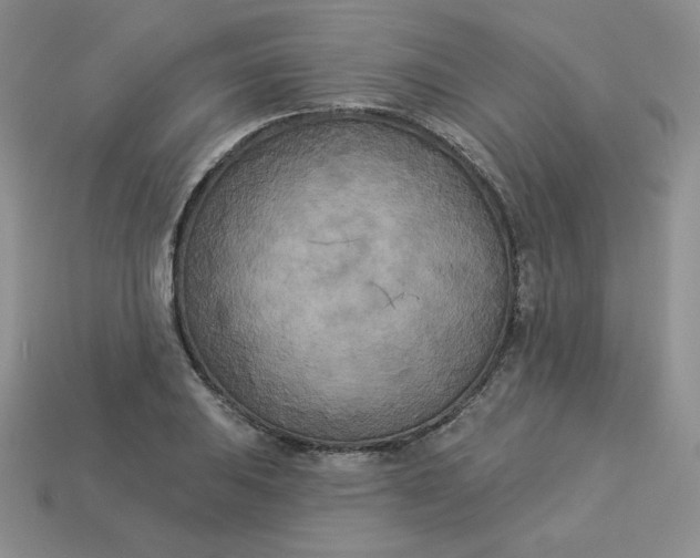 X0000113921031200910151435
