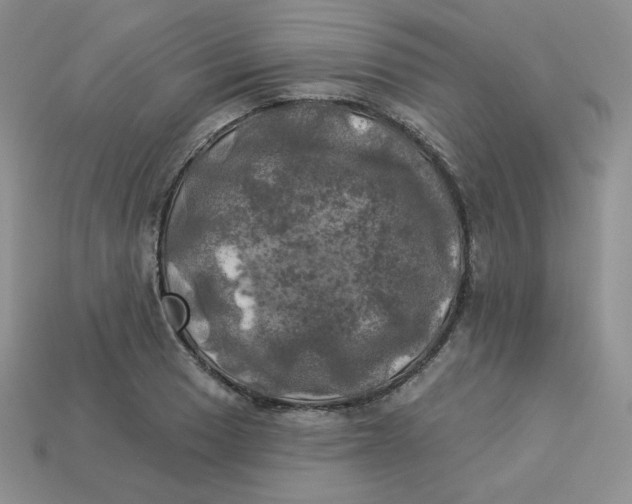 X0000113921033200910151435