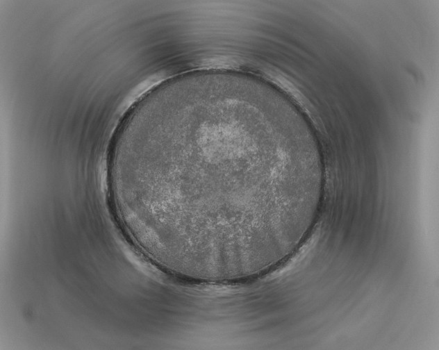 X0000113921034200910151435