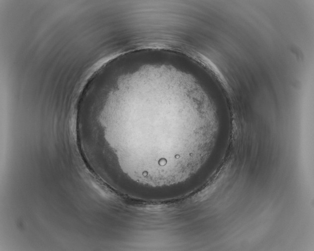 X0000113921035200910151435