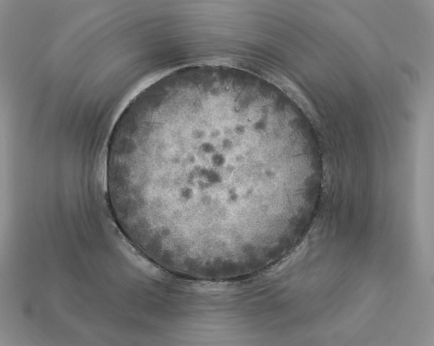 X0000113921036200910151435